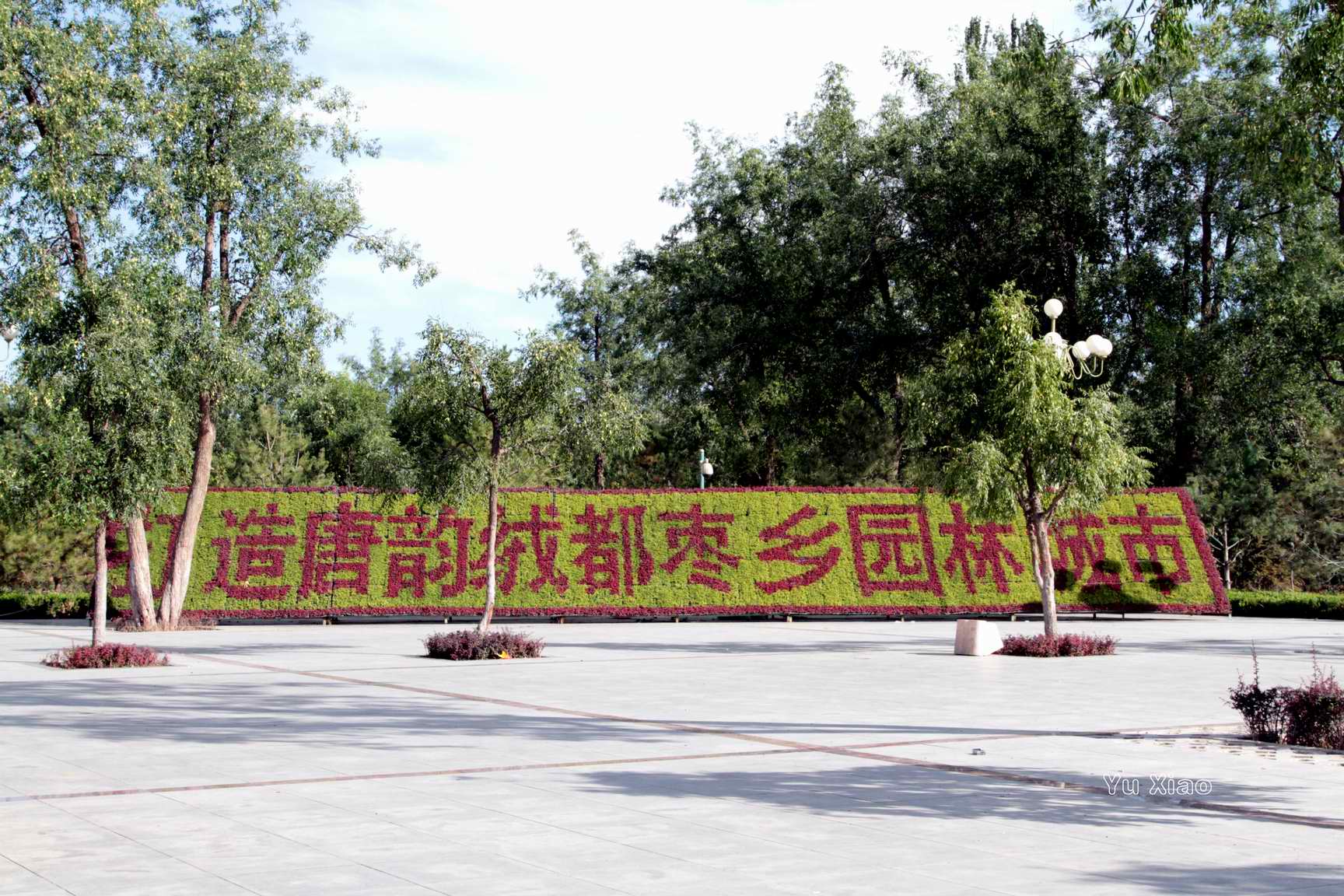 美丽的世界枣博园--灵武市人民政府门户网站