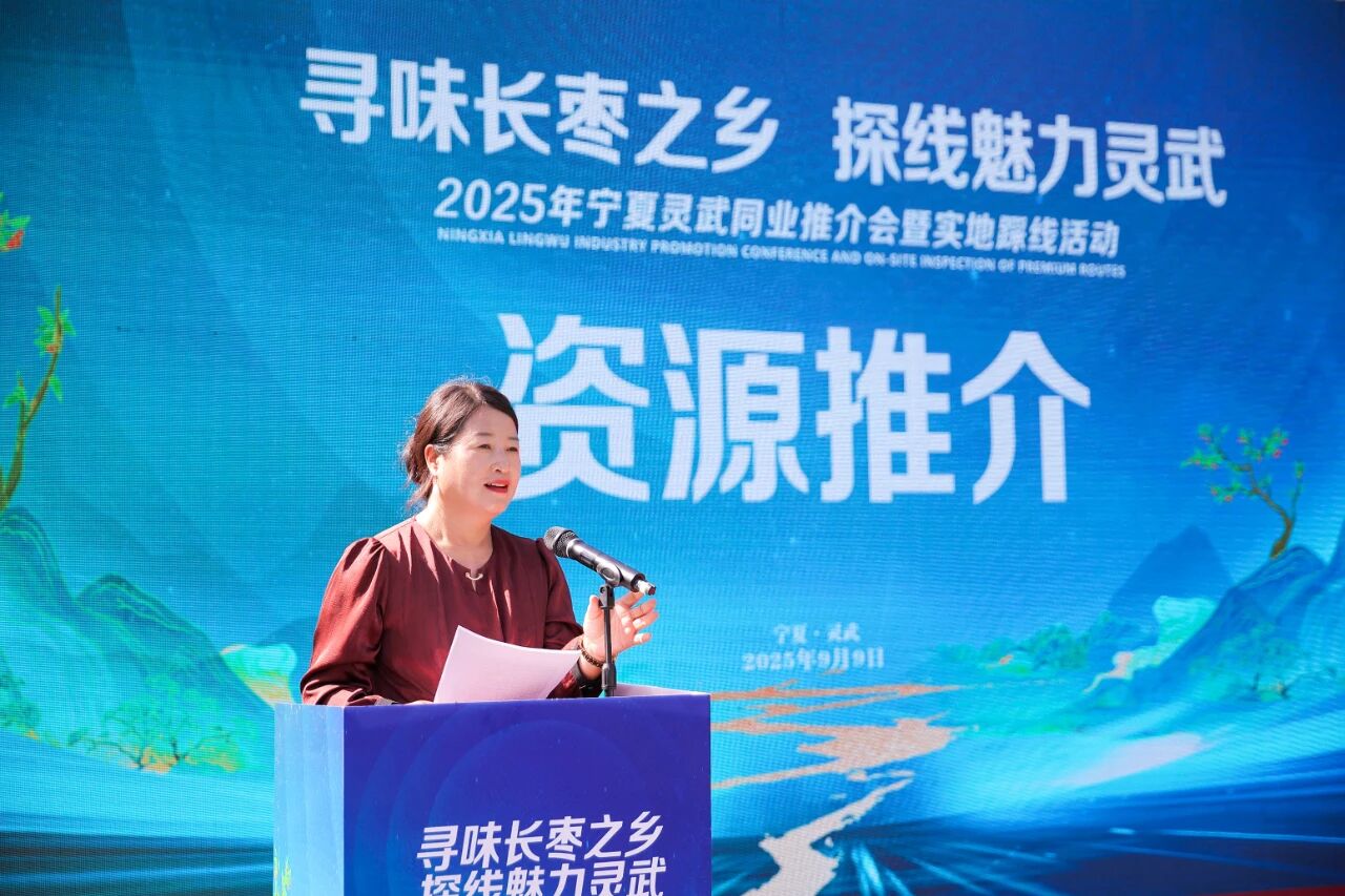 微信图片_2025-12-01_171540_953.png